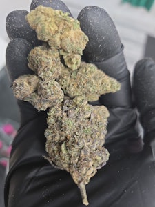 Better Made - BMC | Sherb Cream Pie