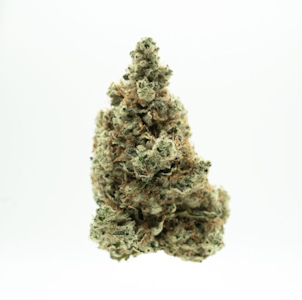 AGL - AGL 3.5g Layer CKE (H) 00496