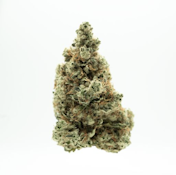AGL 3.5g Thaze (H) 00658