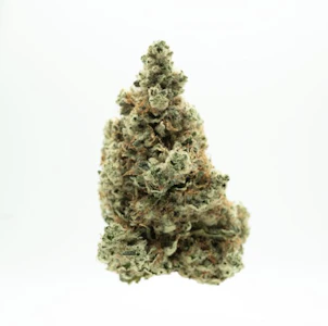 AGL - AGL 3.5g Thaze (H) 00658