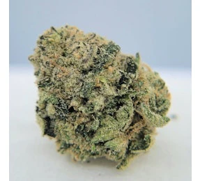 The Hempire Collective - THC | Sherbadough Main Image