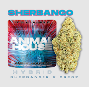 Sherbango | Flower | 3.5g (Animal House)