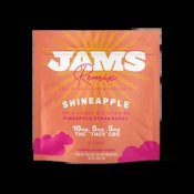 Jams Jellies | Shineapple | 10ct 2:1:1 B12