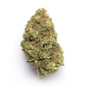 M80 | Shockwave Kush |  3.5g | Buds