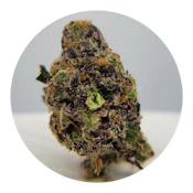 THC - Short Stacks Bud