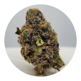 The Hempire Collective - THC - Short Stacks Bud Main Image
