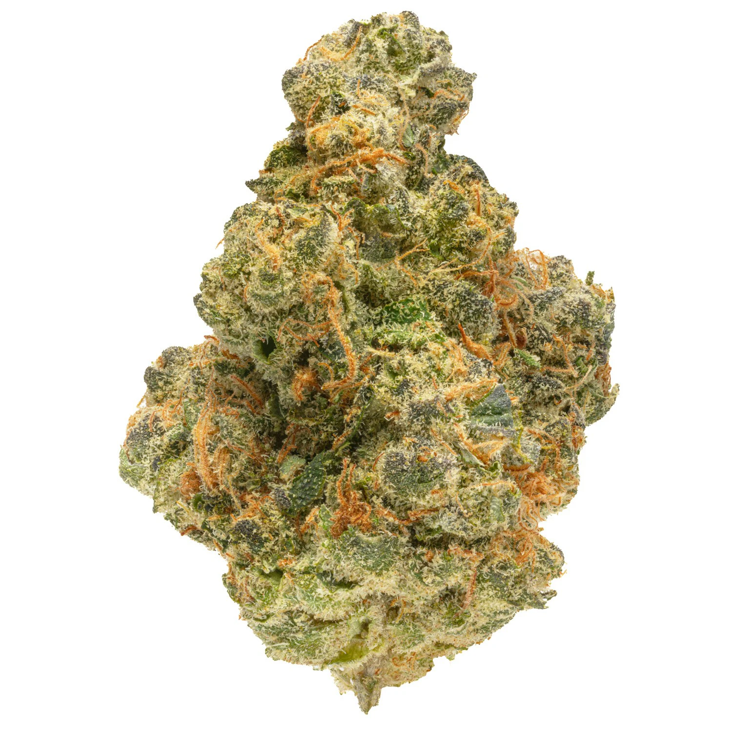 West Coast Cure - Florida Oranges (S) 31.20% THC | WCC | 3.5g Flower Main Image