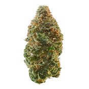 Si Senor - Trainwreck 28g [ I ] THC%26.71