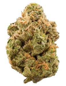 Smoakland - Si Senor - Purple animal cookies 28g [ H ] THC%26.57