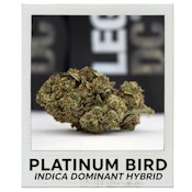 Platinum Bird