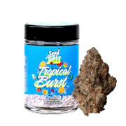 Seed Junky Genetics - 7g Bigs - Tropical Burst