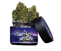 Skypack | Nerdz | Indoor Flower | 1/8oz