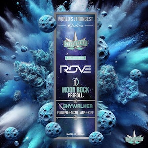 PRESIDENTIAL - Presidential -  Rove Skywalker - 1g Infused Preroll