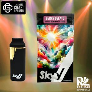 Skyy - Berry Gelato Disposable Vape - 2g