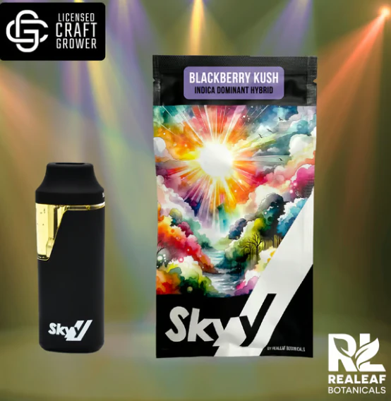 SKYY - Blackberry Kush Disposable Vape - 1g Main Image