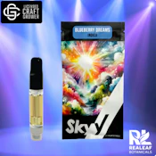 Blueberry Dreams Cartridge - 1g