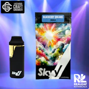 Blueberry Dreams Disposable Vape - 1g