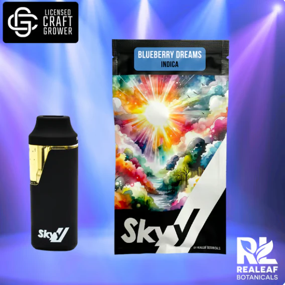 SKYY - Blueberry Dreams Disposable Vape - 1g Main Image