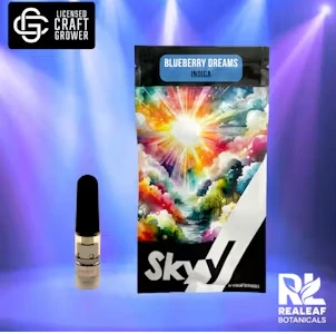 Skyy - Blueberry Dreams Cartridge - 0.3g