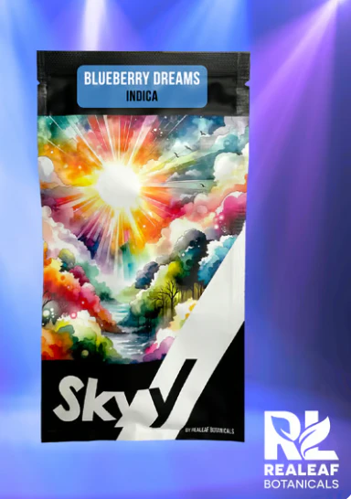 SKYY - Blueberry Dreams Cartridge - 2g Main Image