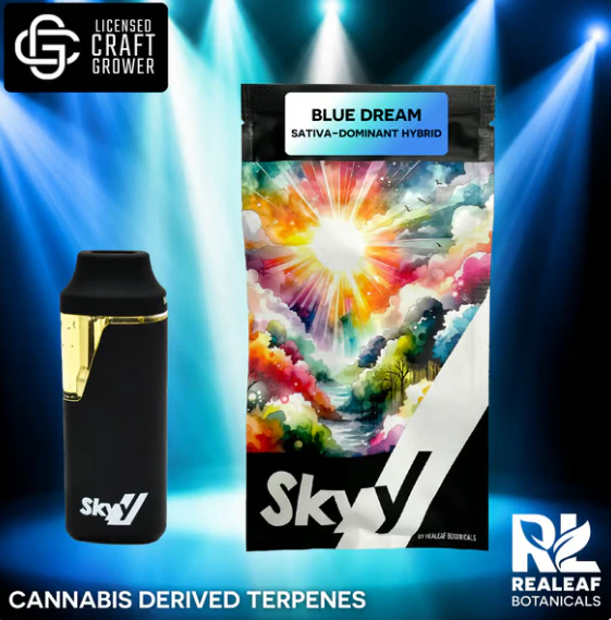 SKYY - Blue Dream Disposable Vape - 1g Main Image