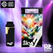 Grape Ice Disposable Pen - 1g