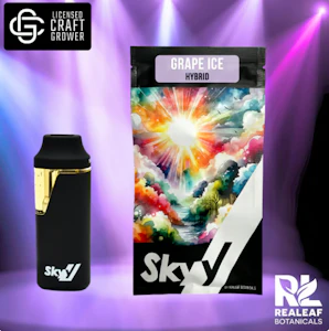 Skyy - Grape Ice Disposable Pen - 1g