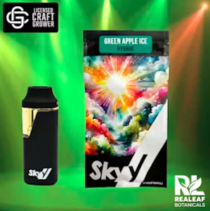 Skyy - Green Apple Ice Disposable Vape - 2g