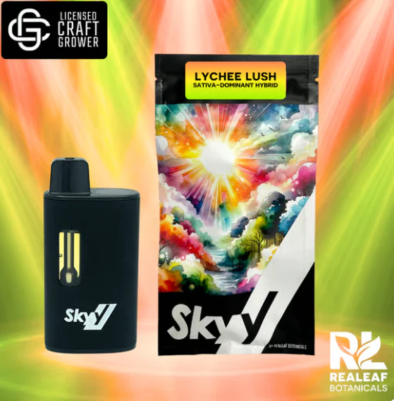 SKYY - Lychee Lush Disposable Vape - 1g Main Image