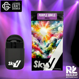 Skyy - Purple Urkle Disposable Vape - 2.5g