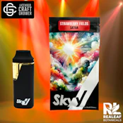 Strawberry Fields Disposable Pen - 2g