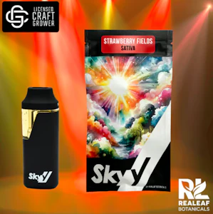 Skyy - Strawberry Fields Disposable Pen - 2g