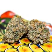 Teds Budz - Slammin Salmon Flower - 3.5G