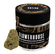 Slapaya (3.5G Jar)