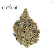 Curaleaf Whole Flower 3.5g Slapz (I) 00393