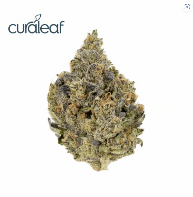 Curaleaf - Slapz (I) 00393 Main Image