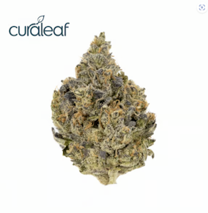 CURALEAF - Slapz (I) 00615