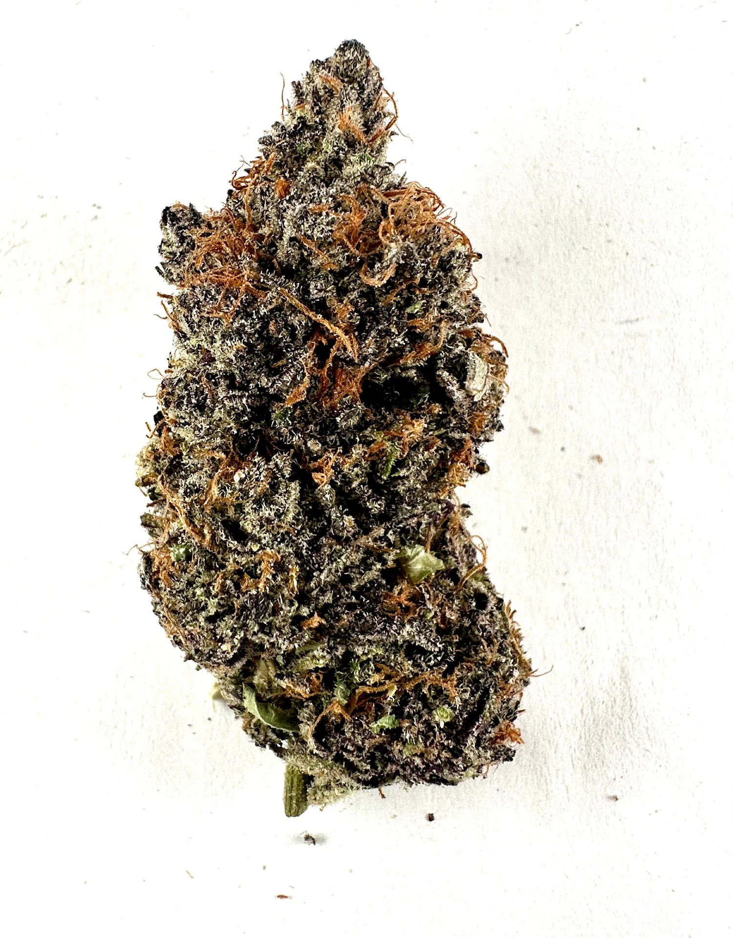 Deep Sky Cannabis LLC - DSC - Slapz Main Image