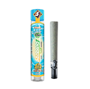 SLUGGERS 1.5G Coconut Horchata Infused Preroll