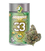Sluggers 5g 33
