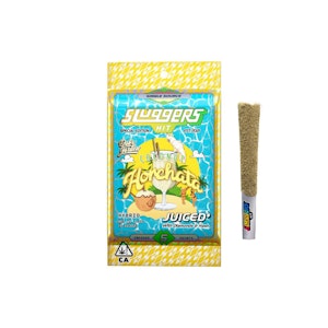 Sluggers - Sluggers x Dubz Garden - 5pk Infused Prerolls - Coconut Horchata