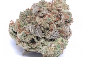 Slurricane