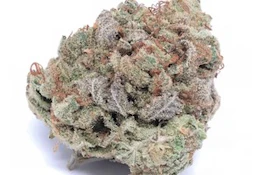 Slurricane