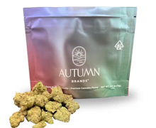 Autumn Brands 7g Smackers