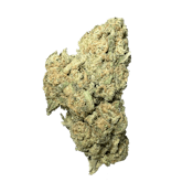 Exotix - SFV OG (H) - 14g THC%31.07