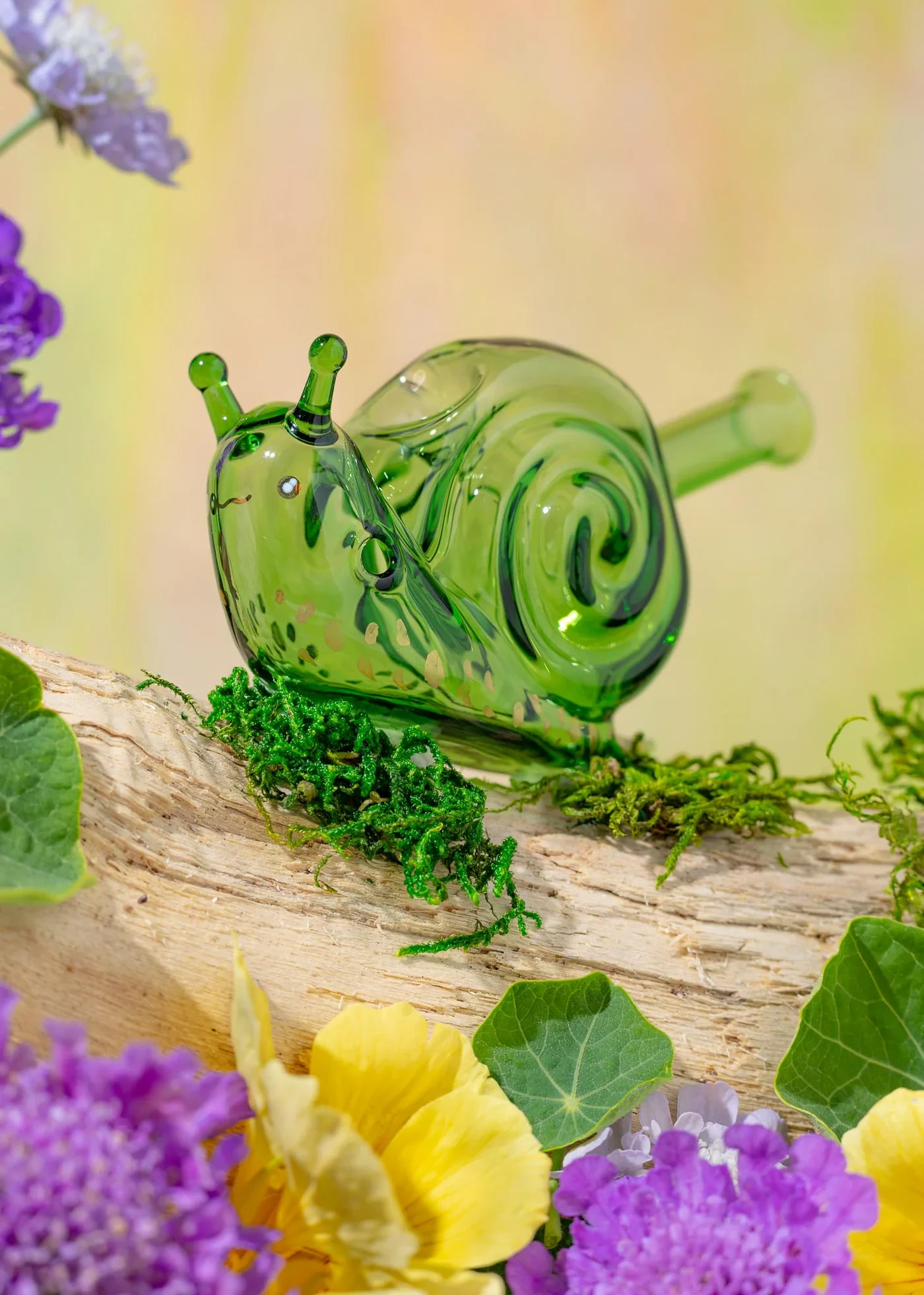 CANNA STYLE - Canna Style | Snail Pipe Main Image