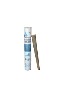 Snowbelt Cannabis - Snowbelt Cannabis - Ghost Train Haze - Dab Doob - Live Rosin - 31.84% THC - 1.3g - Pre-roll