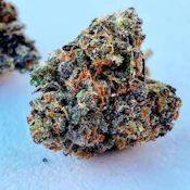 Fein | Minntz | Bulk Flower