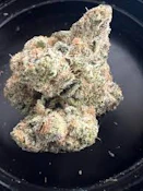 Hunnymoon | Rare Michigan Genetics | Bulk Flower