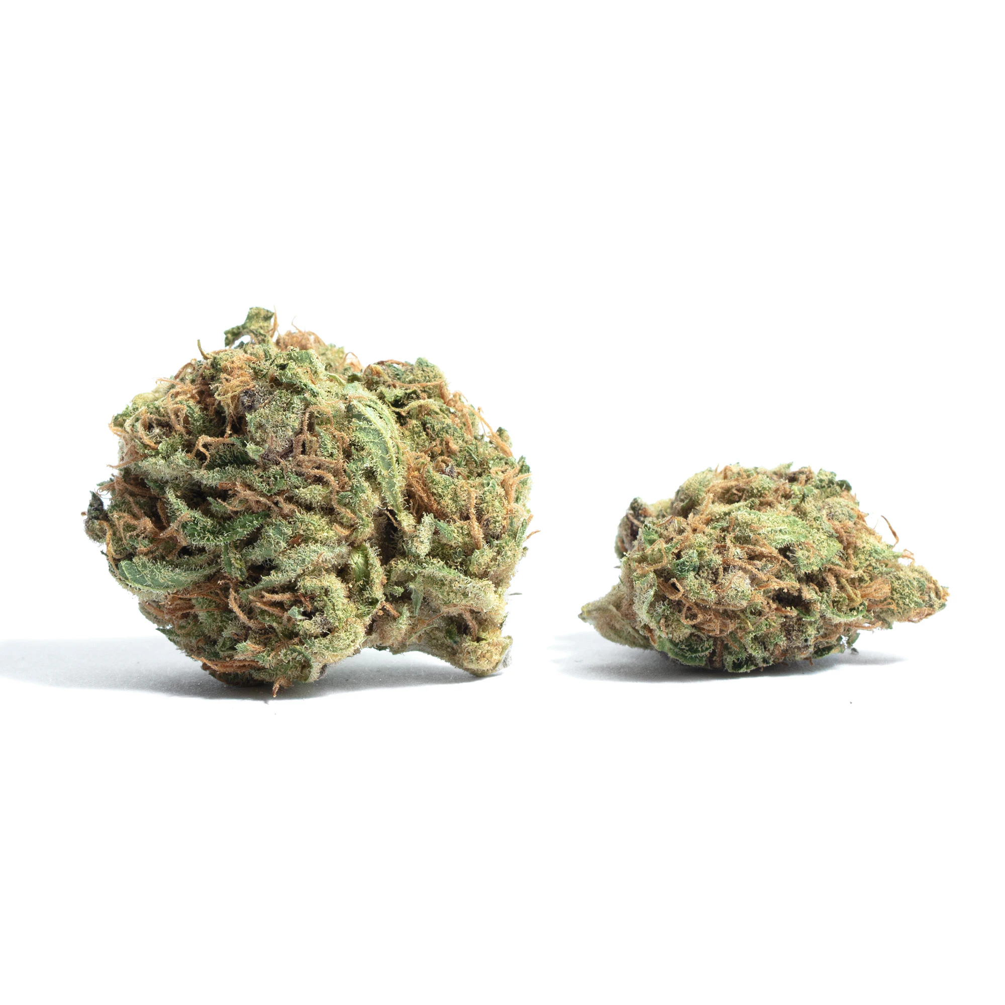 Rare Michigan Genetics - Buds - Snozzberry OG Main Image
